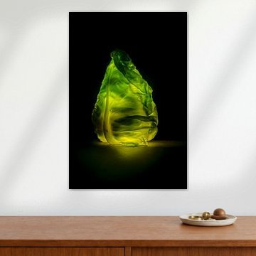 Mächtiger Spitzkohl