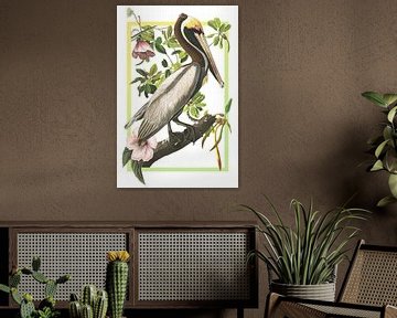 Brown Pelican by Jadzia Klimkiewicz
