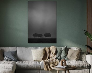 Misty Trees van Peter Deschepper