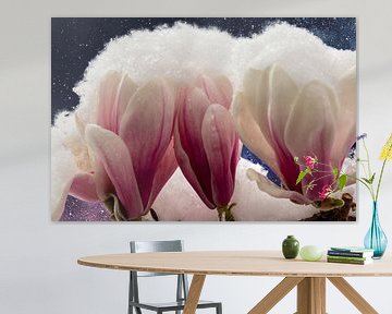 Besneeuwde magnoliabloesem tegen een sterrenhemel van images4nature by Eckart Mayer Photography