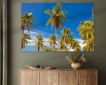 Palmbomen in Punta Cana (Dominicaanse Republiek) van Laura V