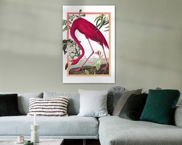 De flamingo van Jadzia Klimkiewicz