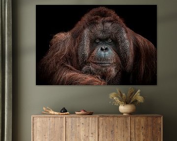 orang oetang portret van Nienke Bot