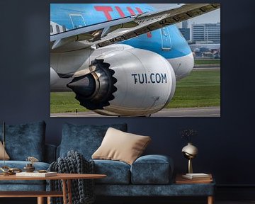 TUI Boeing 787-8 Dreamliner (PH-TFM). van Jaap van den Berg