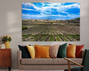 View over Roija Vineyard by Ivo de Rooij