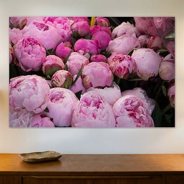 Rosa Pfingstrosen auf dem Markt