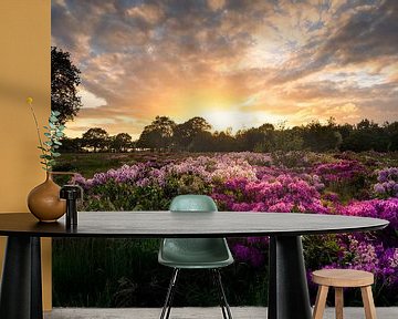 Veld vol Rododendrons in het mooie warme avondlicht van KB Design & Photography (Karen Brouwer)