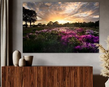 Veld vol Rododendrons in het mooie warme avondlicht van KB Design & Photography (Karen Brouwer)