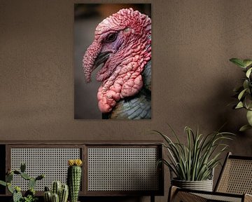 turkey by Jamie Elbersen