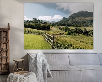 De wijngaard tussen de bergen | Zuid-Afrika Reisfotografie van Yaira Bernabela