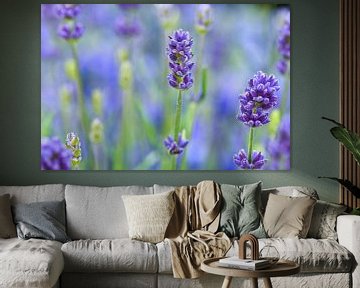 Still life of lavender blue purple by Marjolein van Middelkoop