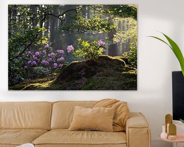 Rhododendron by Esmeralda holman