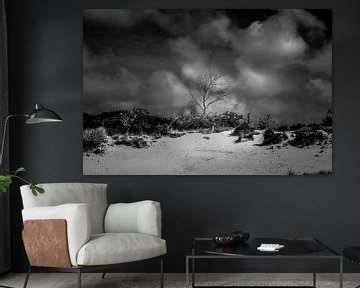 Arbre nu et lumineux dans les dunes avec des nuages ​​dramatiques en n sur Stephanie Kulk