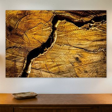 Fissure dans le bois