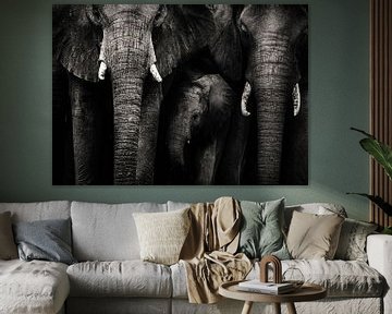 Famille d'éléphants sur Bert Hooijer