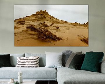 Série Dune I sur Insolitus Fotografie