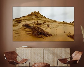 Dune Series I
