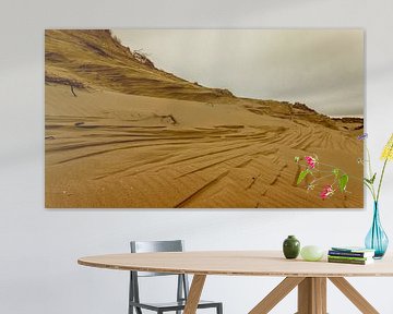 Dune Series III by Insolitus Fotografie