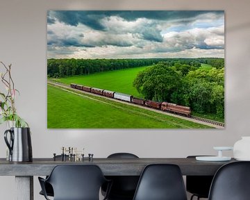 Vieux train de marchandises diesel dans la campagne sur Sjoerd van der Wal Photographie