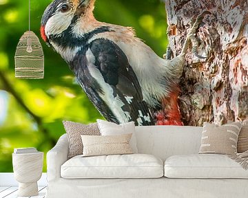 Great Spotted Woodpecker on a tree during springtime by Sjoerd van der Wal Photography