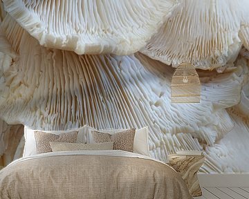 Ruffled by Carla Mesken-Dijkhoff