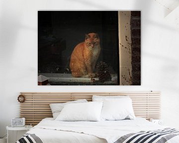 Kat in het zonnetje voor het raam. van Mario Dekker-Janssen