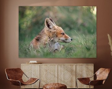 Jeune renard couché dans l'herbe et regardant autour de lui sur Jolanda Aalbers