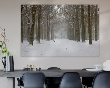 Winters landschap in het bos van Miranda Vleerlaag