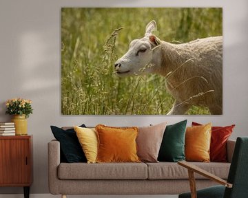 Sheep in the tall grass by Tanja van Beuningen