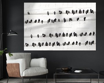 Musik der Tauben von Arjen Roos