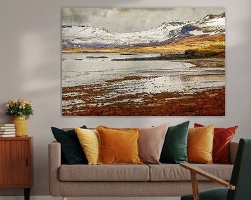 The Icelandic coast