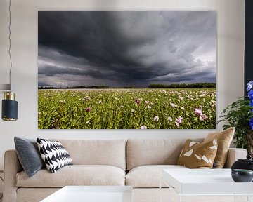 Dreigende onweersbui luchten boven een veld klaprozen van KB Design & Photography (Karen Brouwer)
