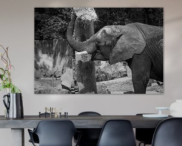 De etende olifant van Denise Vlieland