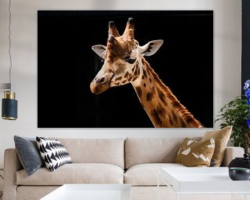 De giraffe van Denise Vlieland
