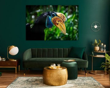 De Sulawesi-jaarvogel van Denise Vlieland