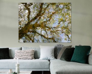 Reflectie van een lente boom in het water van Sjaak den Breeje