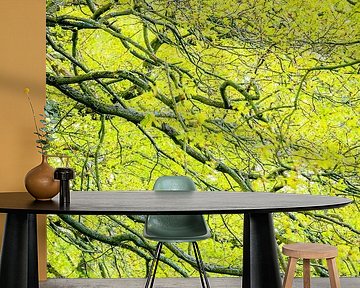 Branches in green by Sjaak den Breeje