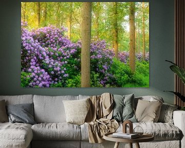 Rhododendrons in the woods | Utrechtse Heuvelrug by Sjaak den Breeje