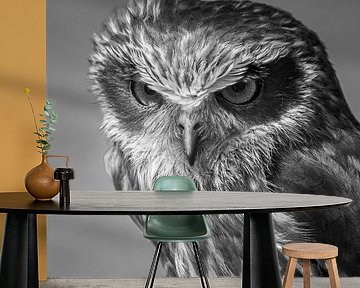 Strictly owl, black and white by Heino Minnema