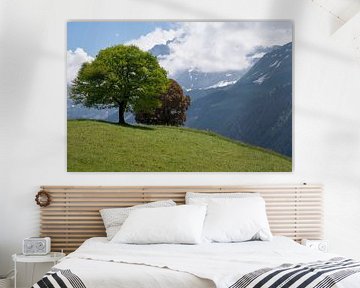 Twee bomen in de Zwitserse Alpen. van Nordic Niels