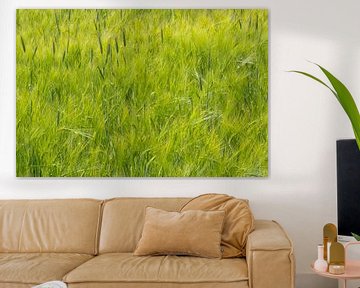 Green Green Grass von Karin van Hengel