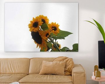 Sonnenblumen von Novaii Emery