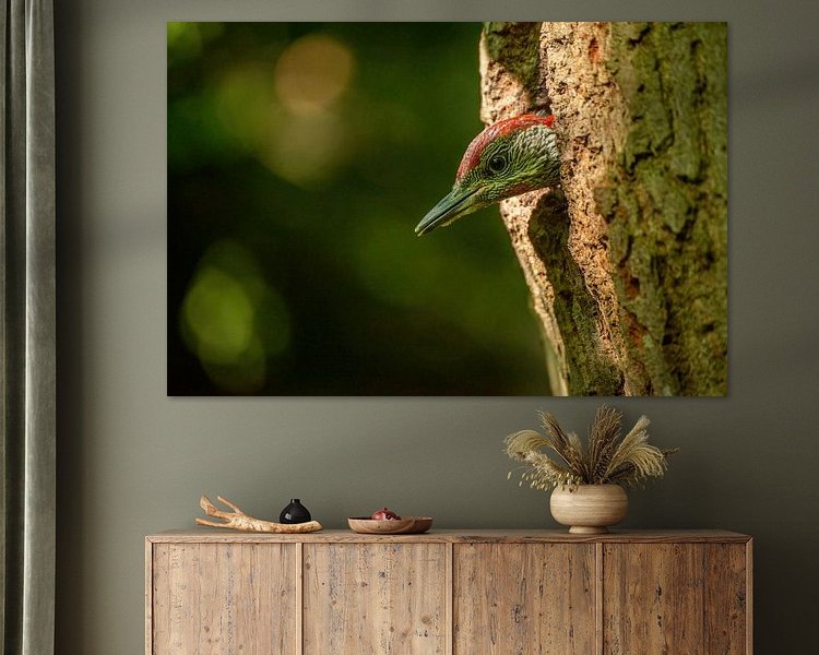 Aperçu de la chambre