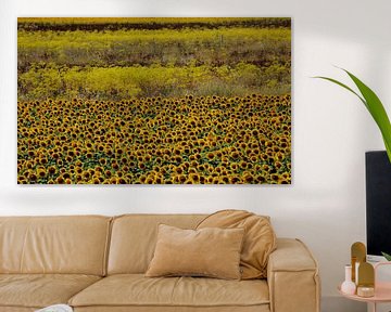 Zeit der gelben, gelberen, gelbsten Sonnenblumen! von Jan Katuin