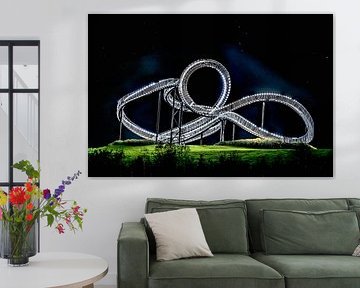 Tiger & Turtle by Christian Borgert