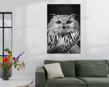 Owl, straight from the front, black and white by Heino Minnema