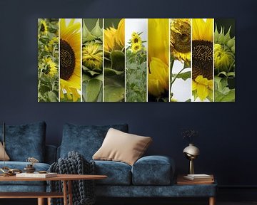 sunflower collage sur Yvonne Blokland