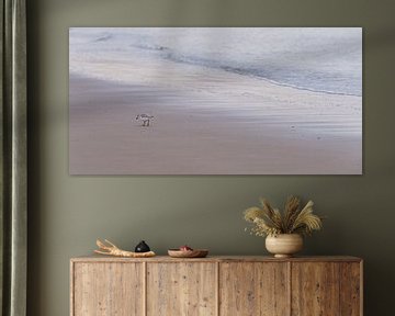 Panorama of the beach with a little bird by Marjolijn van den Berg