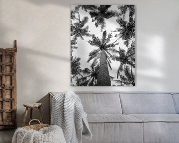 Palmen auf Bali vertikale Foto in schwarz und weiß von Thea.Photo