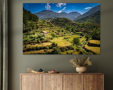 Terrasses agricoles à Serra da Estrela sur Antwan Janssen